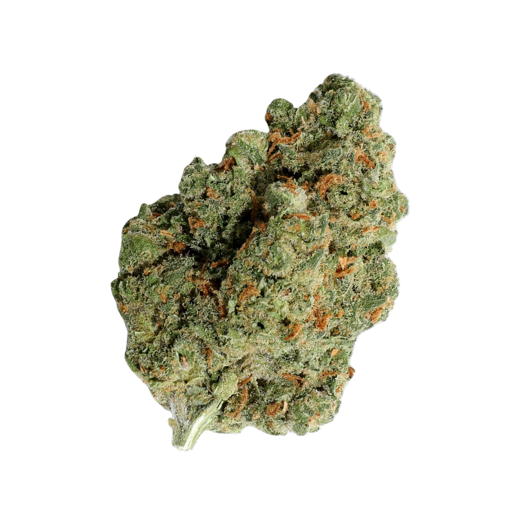 THC X Květy Amnesia Haze WWW.HHC STORE.CZ