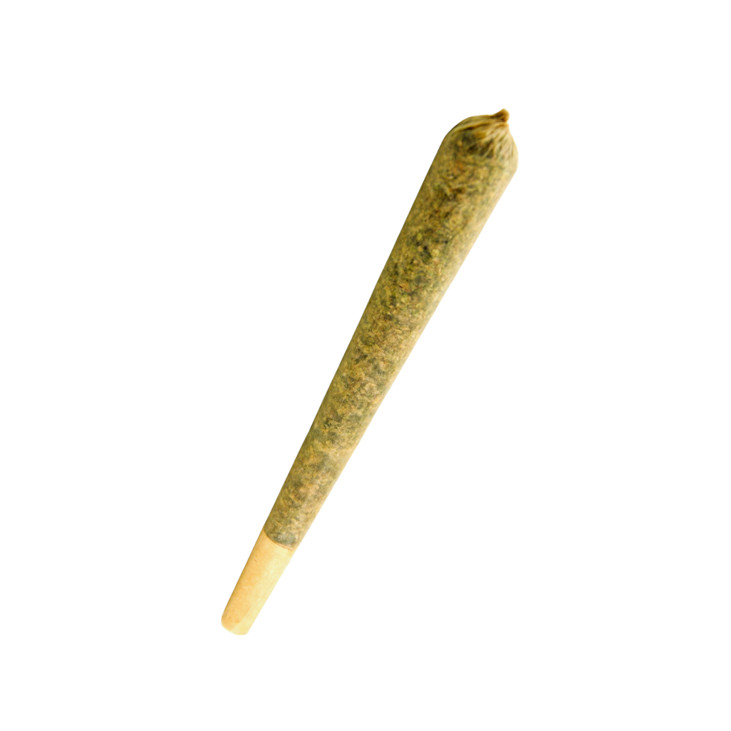 THC X Pre Roll Jack Herer WWW.HHC STORE.CZ